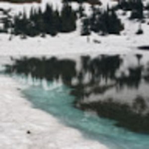 Meet your Posher, Jake